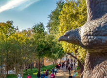 Close up of bronze eagle statue on campus with surrounding trees.